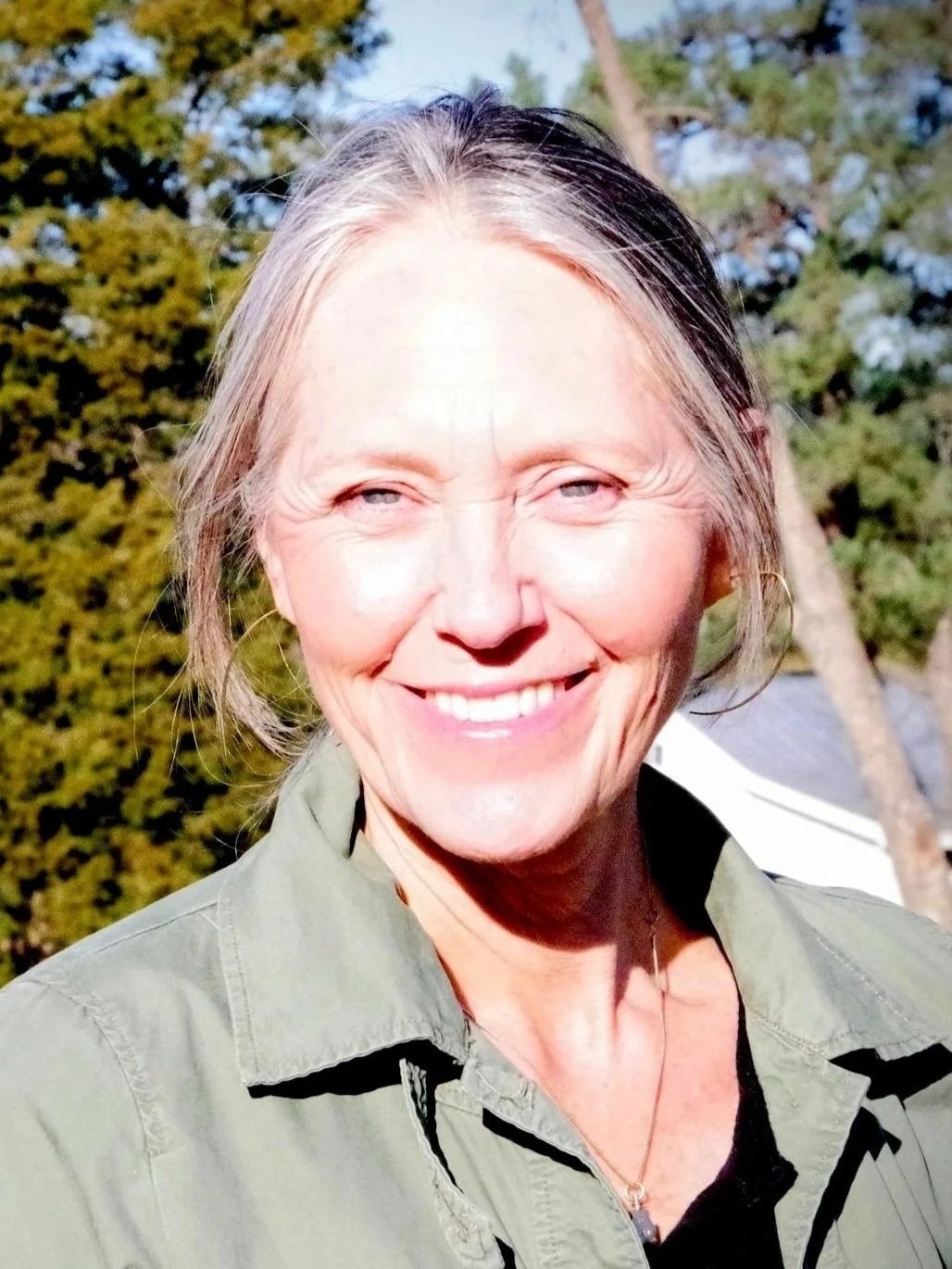 Diane Stakoe | Energy Healing for Embodied Transformation | Raleigh, NC and Online, Hypnotist in Raleigh