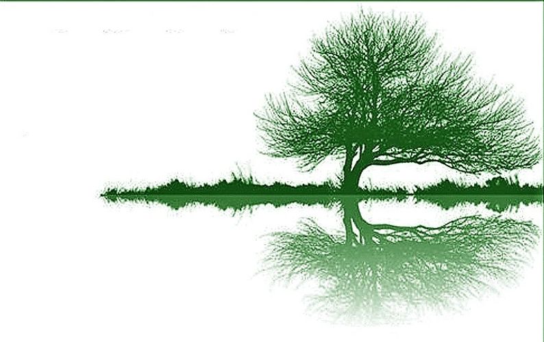 Iuri Alayev, NLP, Certified Hypnotherapist in Calgary