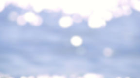 Sally Knopp, QHHT Practitioner, Certified Emotion/Body Code Practitioner, Quantum Energy Healer, Hypnotist in Indianapolis