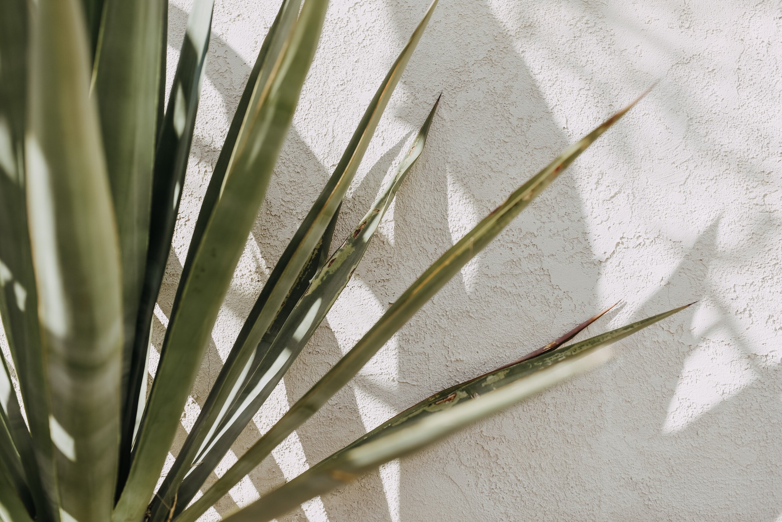 Somadi: Somatic Reiki Therapy & Trauma Healing
